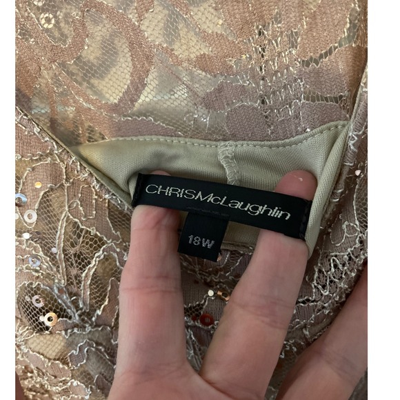 Chris McLaughlin 18W nude sheer sparkle dress Mother in law dress - Picture 8 of 8